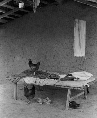 Bed and chickens. Los Chiriguanos, Formosa. 